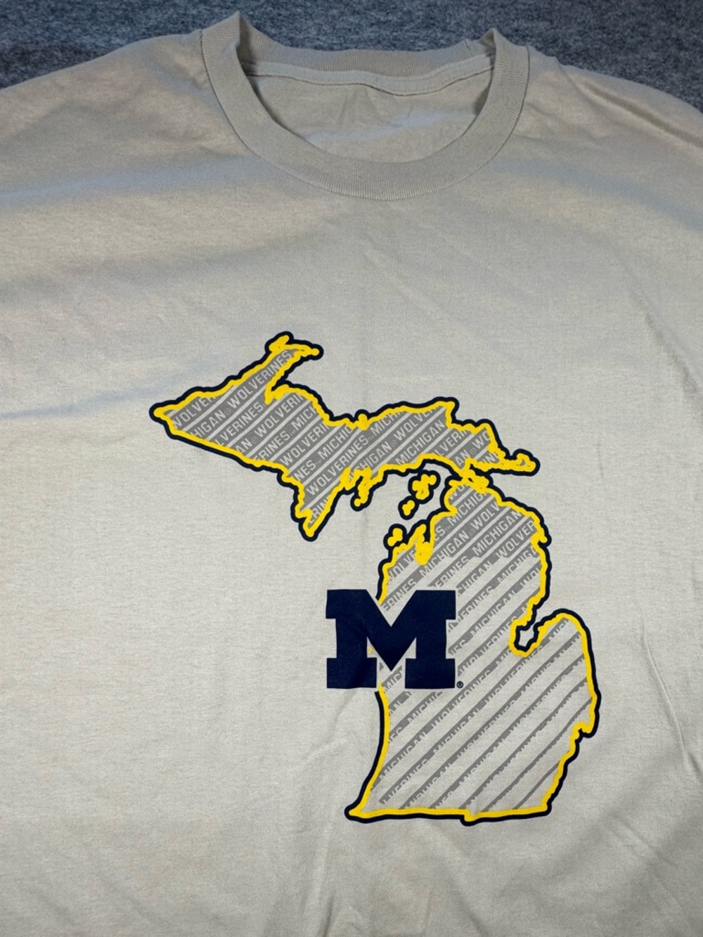University of Michigan Graphic Tee - Men’s (measurements pictured), EUC